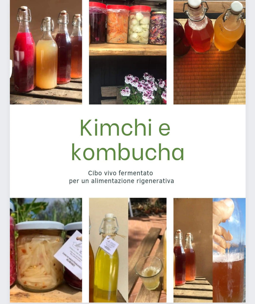 STORIE INEDITE/ CHIARA  e il suo "cibo Vivo", il  Kimchi e la Kombucha