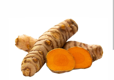 Curcuma radice