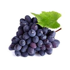 Uva fragola