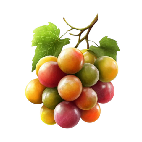 Prugne sorriso di primavera
