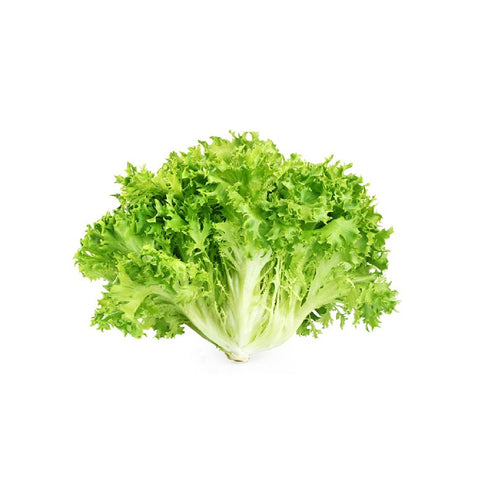 scarola riccia