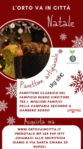 panettone artigianale 1kg panificio russo vincitore gambero rosso