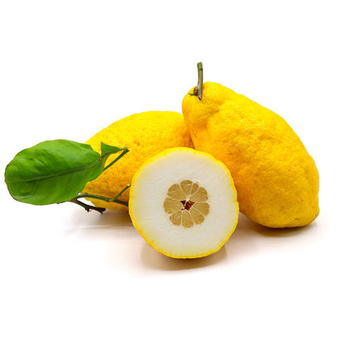 Cedro