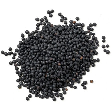 Lenticchie Nere secche BIO