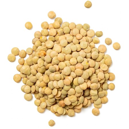 Lenticchie Verdi secche BIO