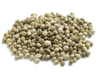semi di canapa bio