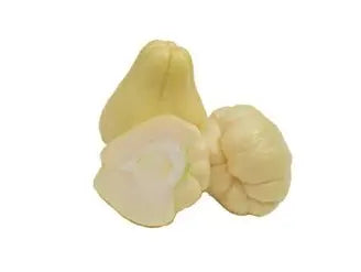 Chayote-zucchina spinosa
