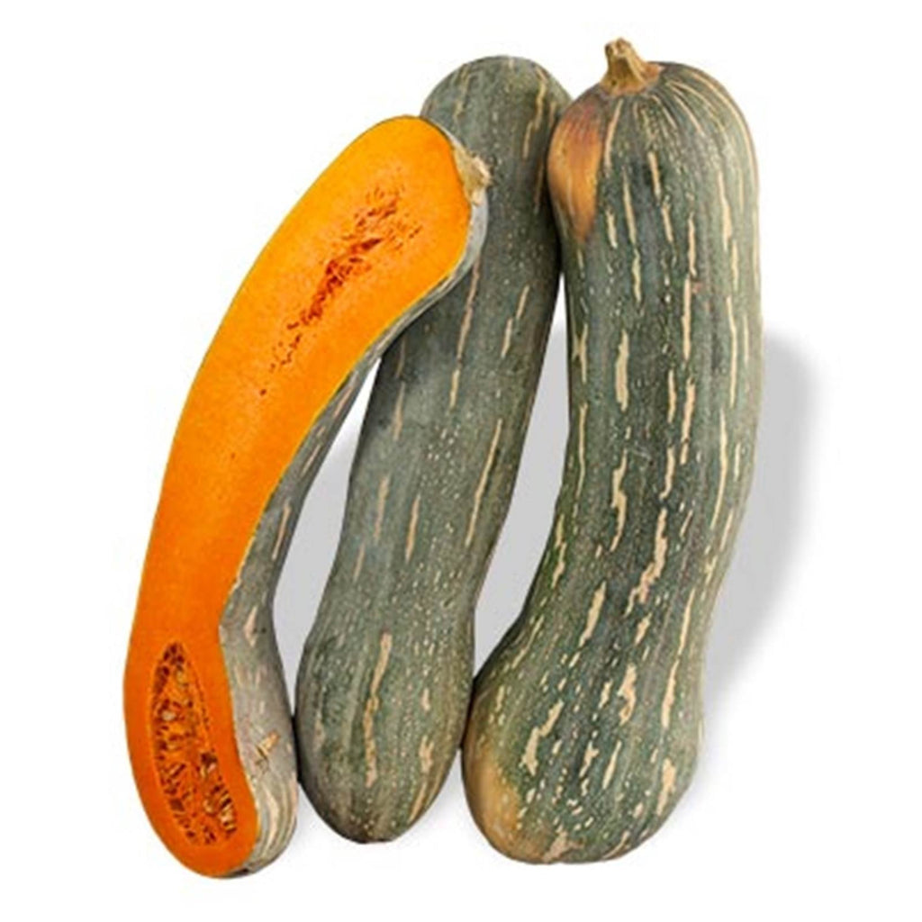 Zucca napoletana