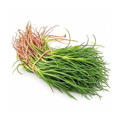 Agretti