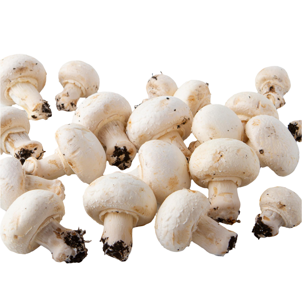 Funghi Champignon
