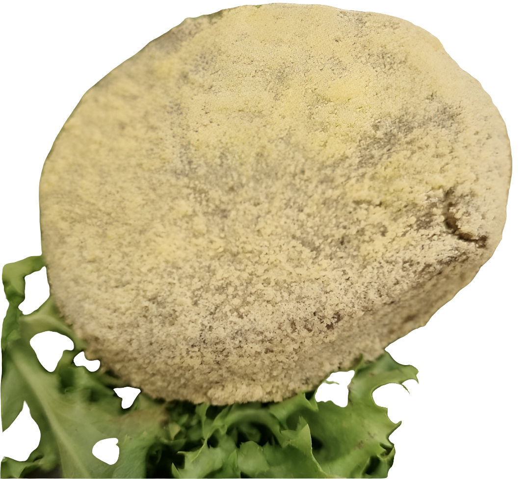 Burguer vegani