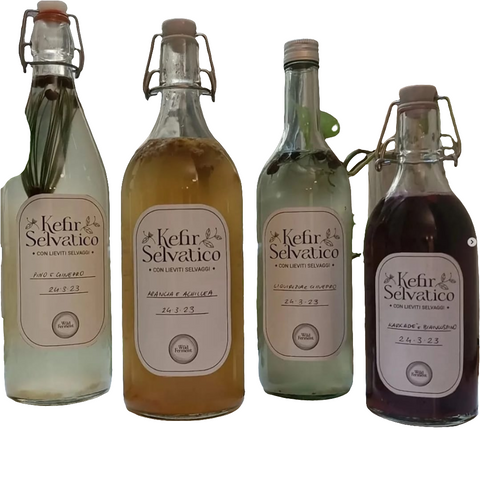 kefir acqua 1LT