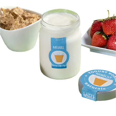 Yogurt Nobile 0,1% Grassi 500