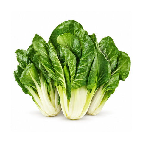Bietole Costa