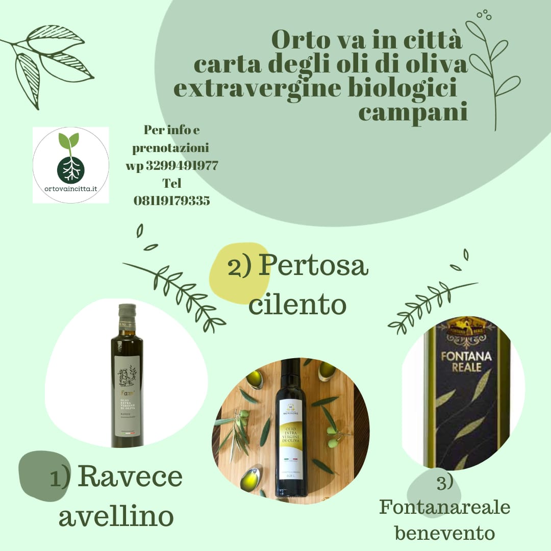 olio extravergine di oliva RAVECE bio avellino