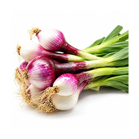 Cipolle Tropea fresche igp dop