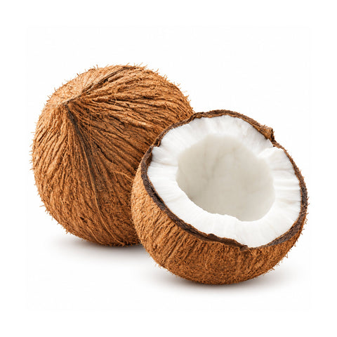 Cocco Qualità Oro