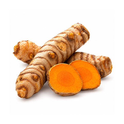 Curcuma radice