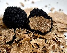 tartufo nero DI BAGNOLI IRPINO