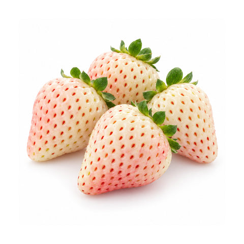 Fragole Bianche