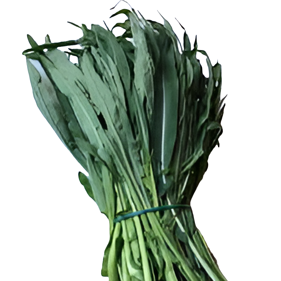 Friarielli foglia di ulivo