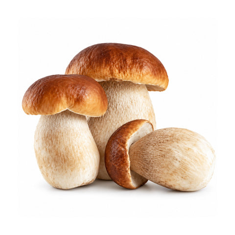Funghi porcini