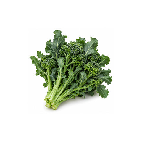 Broccolo dell'olio lavagnino