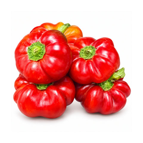 Peperoni Papaccelle Napoletane presidio slow food