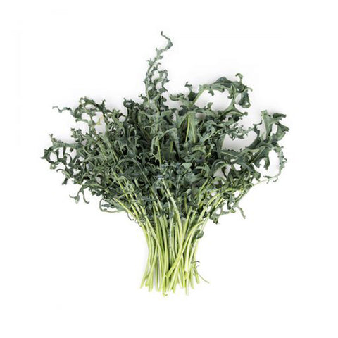 Broccolo Spigarello