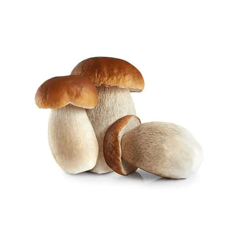 Funghi porcini