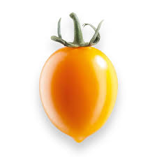 Pomodori datterino gialli