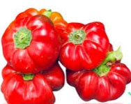 Peperoni Papaccelle Napoletane presidio slow food