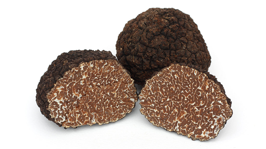 tartufo nero uncinato pescocostanzo
