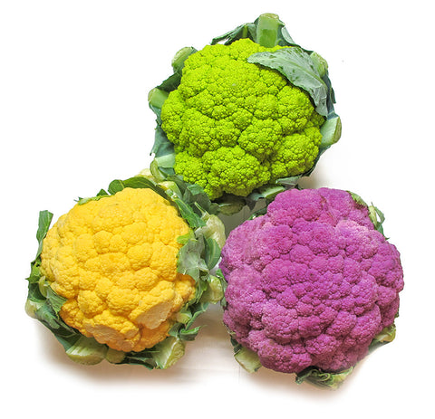 cavolfiore violetto o arancione