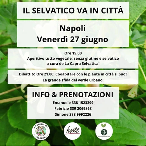 Il selvatico va in città