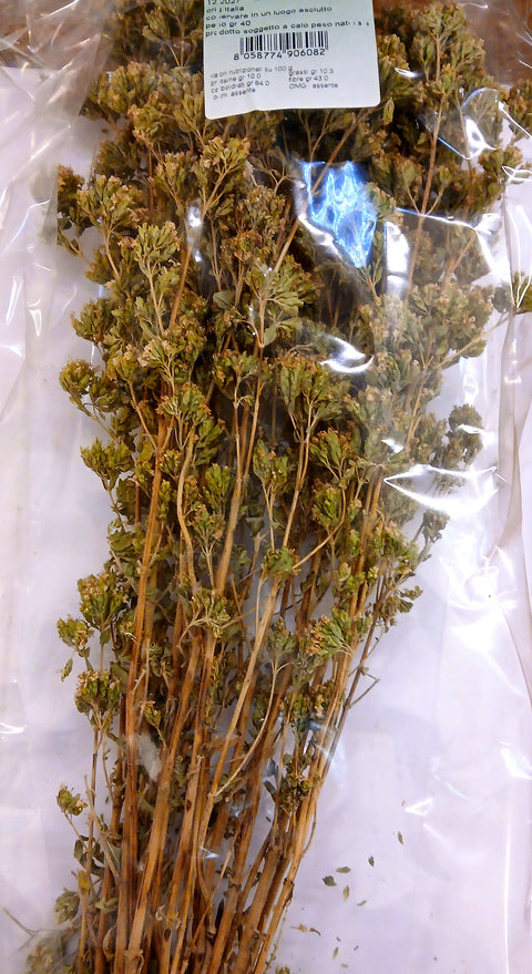 Origano a rametti cilentano