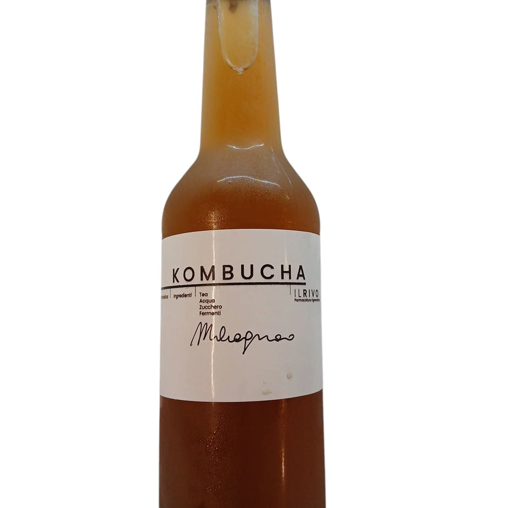KOMBUCHA
