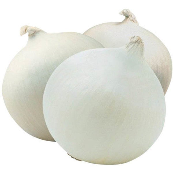 Cipolla bianca