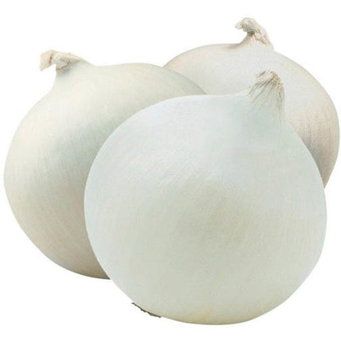 Cipolla bianca
