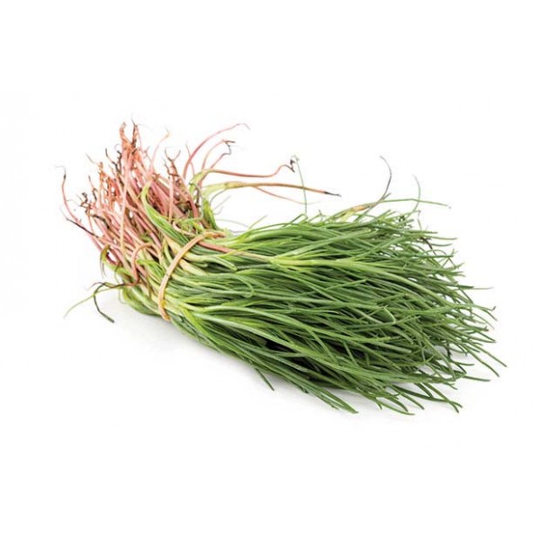 Agretti