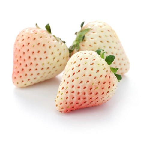 Fragole Bianche