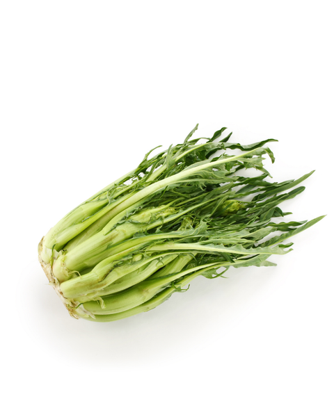 Puntarelle