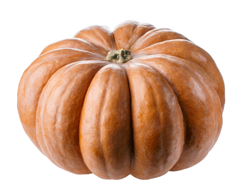 Zucca tonda