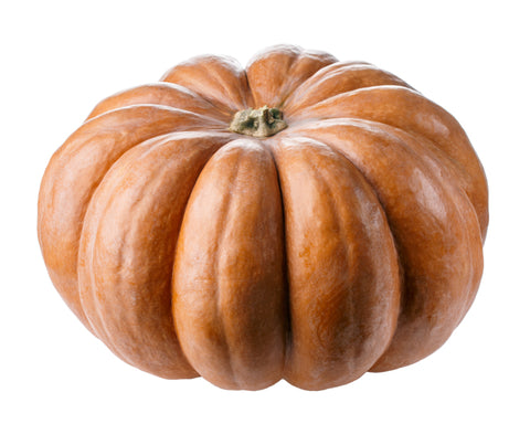 Zucca tonda
