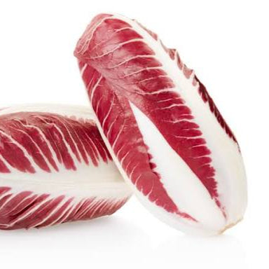 Radicchio lungo treviggiano