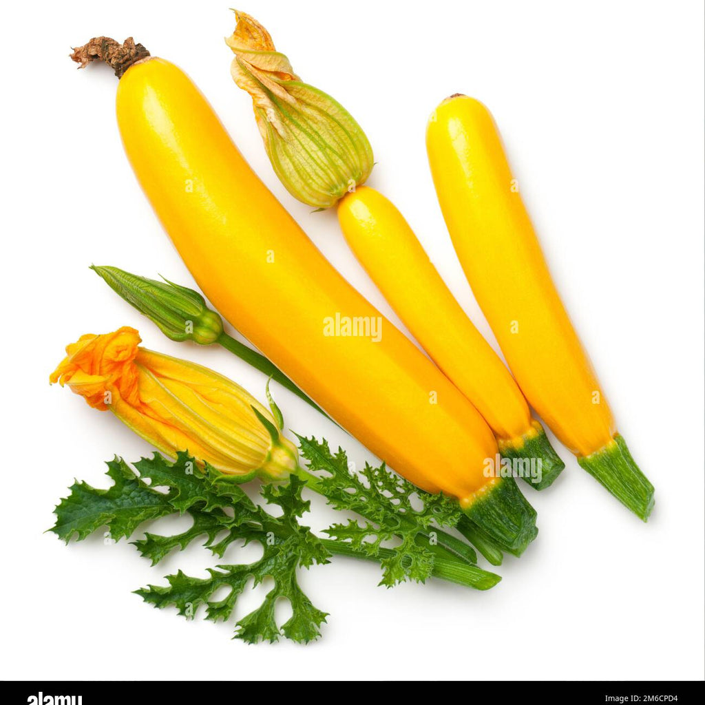 Zucchine Gialle