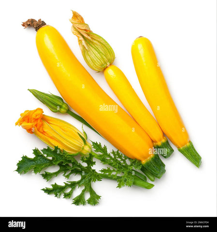 Zucchine Gialle