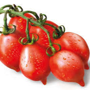 Pomodori piennolo