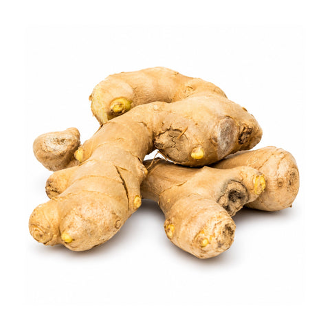 Zenzero radice