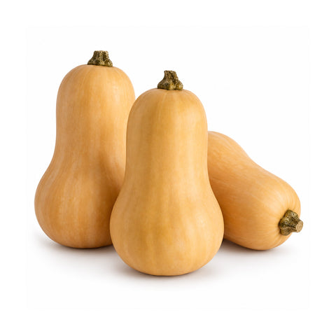Zucca Butternut